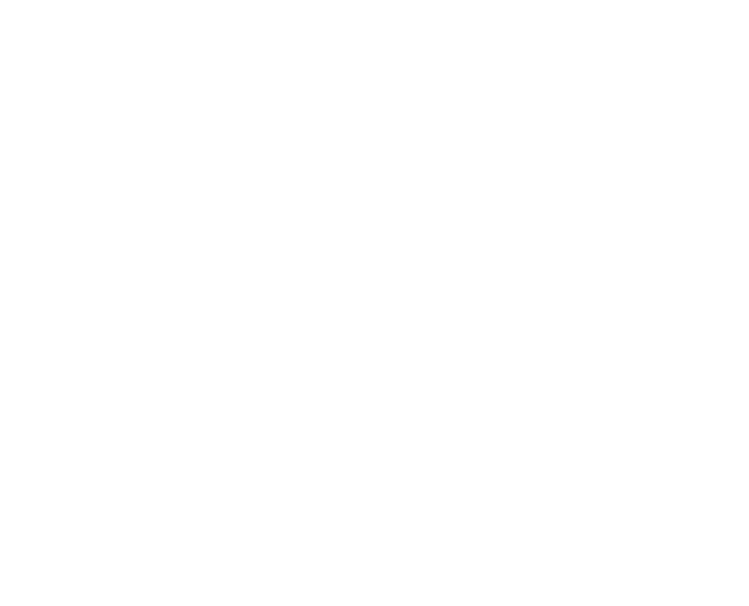NEW Box Logo in weiß auf transparentem Hintergrund