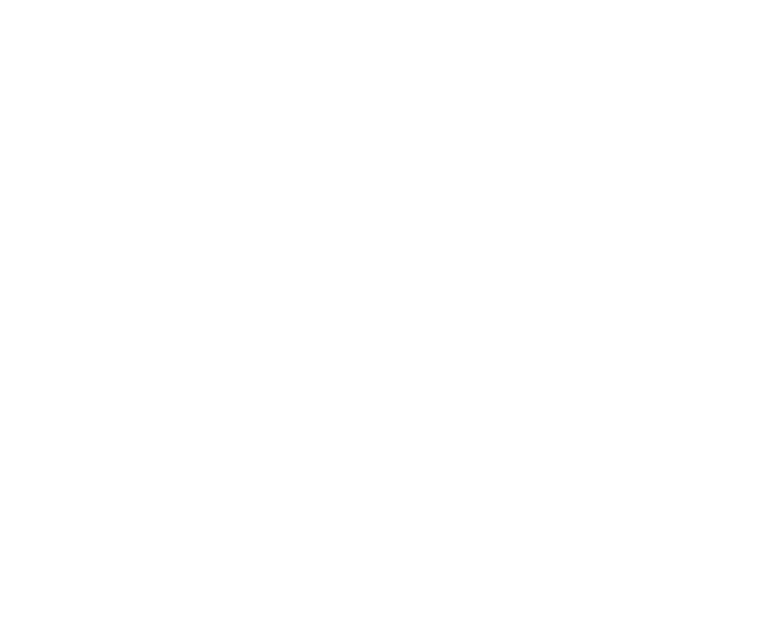 NEW Box Logo in weiß auf transparentem Hintergrund